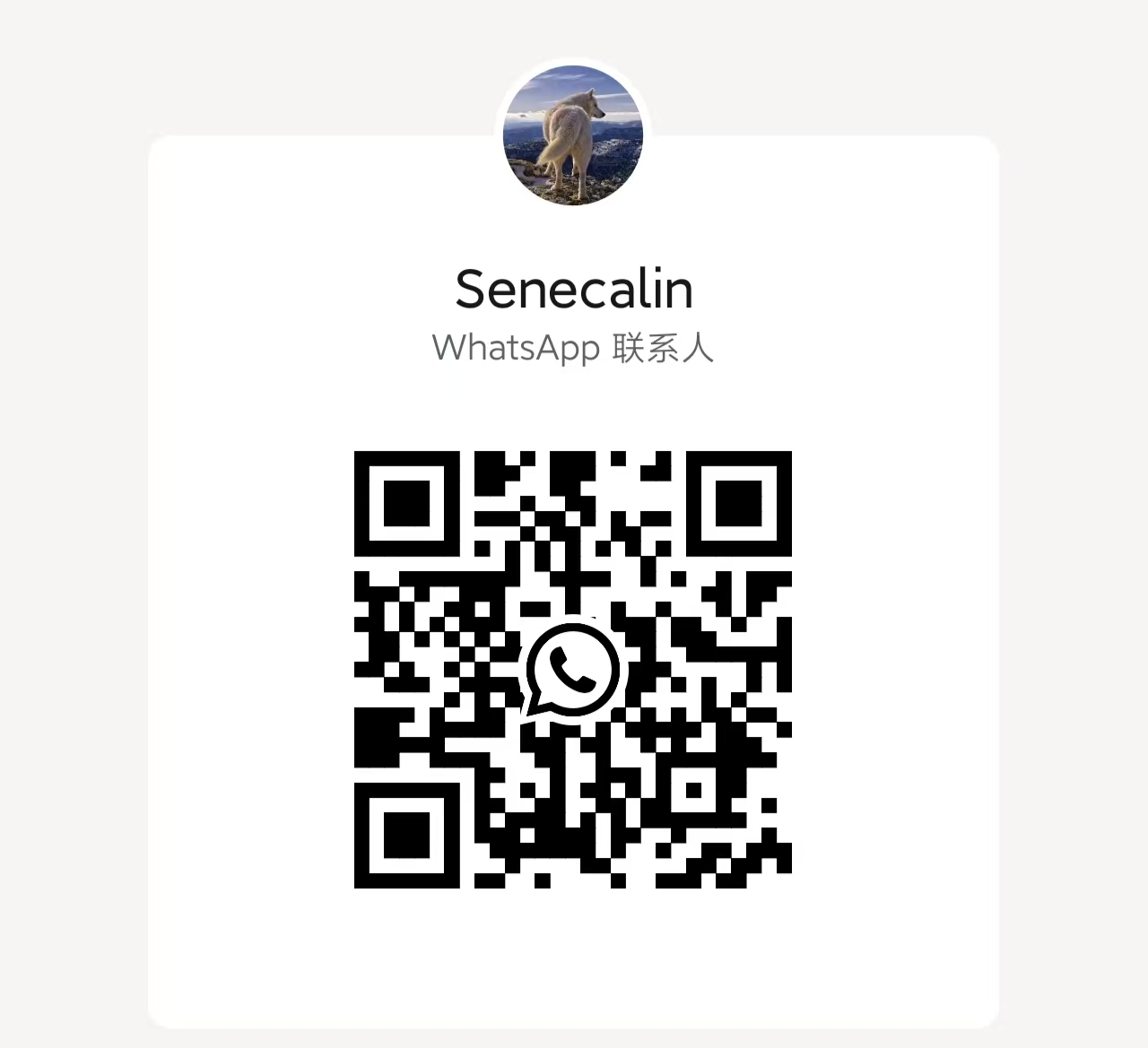 For easy contact, please add my WhatsApp for This Site